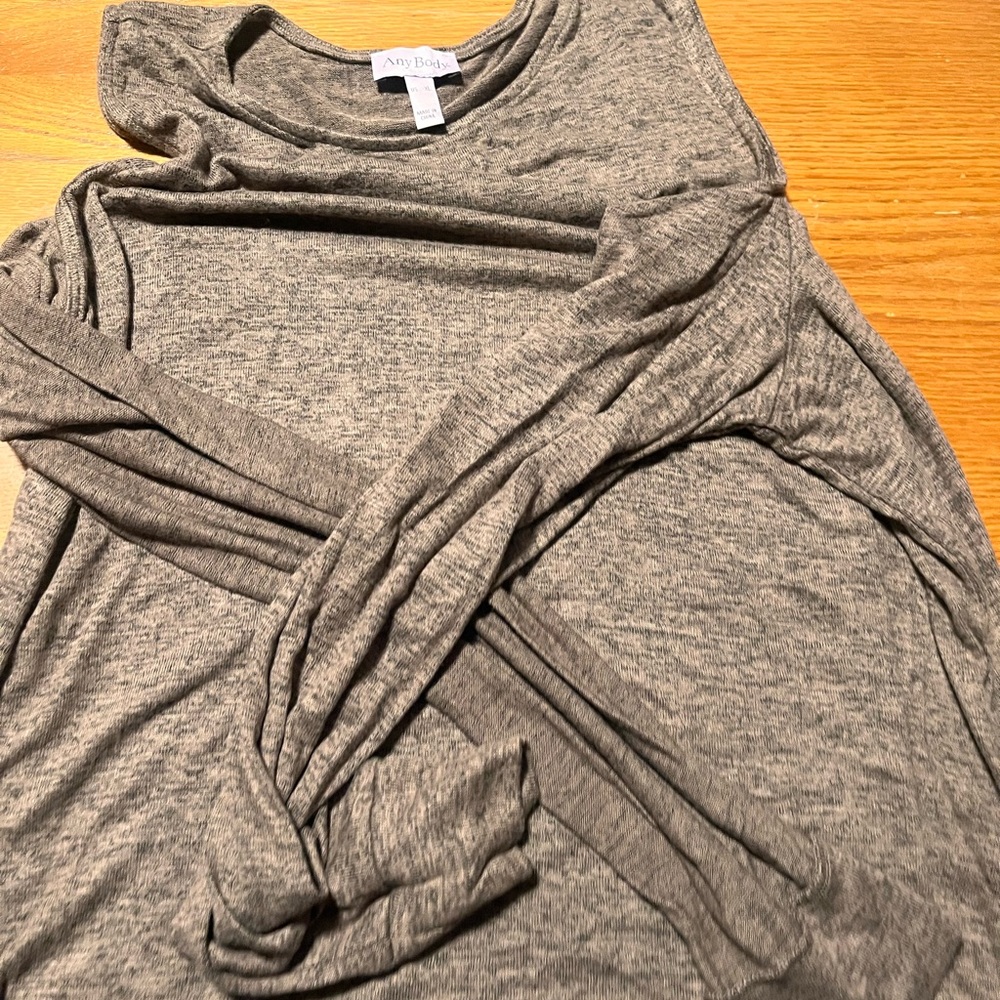 AnyBody Brown Long Sleeve Top